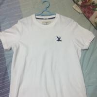 ราคา เสื้อยืด Cc Oo (1353935124)