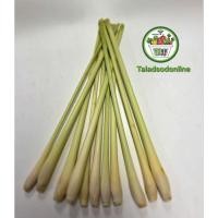 ราคา ตะไคร้ คัดพิเศษ ตัดปลาย สด สะอาด รับประกันคุณภาพ (9491043943)