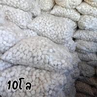 ราคา ดินสอพอง แป้งสี เล่นสงกรานต์ ถุง10โล (23063818114)