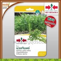 ราคา เมล็ดพันธุ์ขึ้นฉ่าย ขึ้นฉ่ายนวลจันทร์ (แบบซอง) เมล็ดคื่นฉ่ายศรแดง เมล็ดพันธุ์ผัก เมล็ดพันธุ์ผักสวนครัว ตราศรแดง (11475083889)