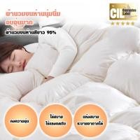 ราคา NEWผ้านวมขนเป็ด 95 ผ้านวมขนห่านสีขาวในฤดูหนาวแกนผ้านวมหนาสะดวกสบายและเป็นมิตรกับผิวหนัง (44113816962)