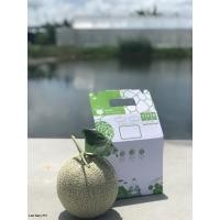ราคา เมล่อนญี่ปุ่นเกรดพรีเมียม พันธุ์ซูบาริ คิง(เนื้อส้ม) (9452196036)