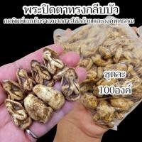 ราคา พระปิดตาทรงกลีบบัว เนื้อผงพุทธคุณ ชุดละ 100 องค์ เหมาะสำหรับนำไปแจกในงานพิธีมงคลต่างๆ (43215476381)