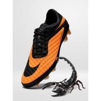 ราคา HV1 is Back!! รองเท้าสตั๊ด Nike Hypervenom Phantom 1 Re-make Limited Edition (43551579524)