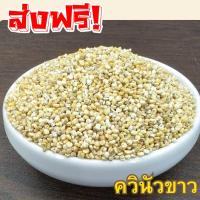 ราคา ควินัวขาว WHITE QUINOA ควินัวขาว Quinoa เมล็ดควินัว เม็ดควินัว ควินัวขาว ควินัว คีนัว ครีนัว ออร์แกนิค เมล็ดควินัว (50550641662)