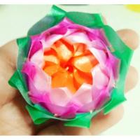 ราคา เหรียญโปรยทานลายดอกบัวหลวง (ตัวเปล่า) ใส่เหรียญงานบวช (5877054160)