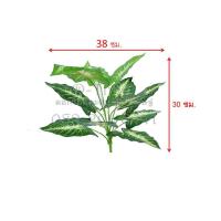 ราคา ต้นสาวน้อยปะแป้งปลอม ทำมาจากพลาสติก (2181911833)