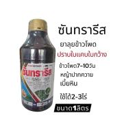 ราคา ซันทรารีส1ลิตร ปราบวัชพืชในข้าวโพด(ลุยข้าวโพด)ช่วงอายุข้าวโพด7-10วันหรือหญ้าใช้ได้2-2.5ไร่ (42067421802)