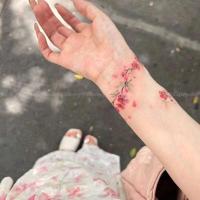 ราคา ดอกไม้มุกมุกมุกสีเหมือนเหมือนเหมือนขนาดเล็กหวานเคลือบนักเรียนดอกพีชล้อมรอบสติกเกอร์รอยสักที่มีสีสันที่มีความงามสูงความหวานซอก20250701 (49456008618)