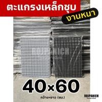 ราคา 40x60 ตะแกรงลวดเหล็กชุบพลาสติก ทำกรง แขวนของ ตะแกรงขายของ ตะแกรงเหล็ก กรงสัตว์เลี้ยง 40*60 RPNSPJ (24031372576)