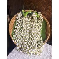 ราคา ดอกมะลิเส้นทำจากกระดาษทิชชู่ ดอกมะลิประดิษฐ์ ดอกมะลิเส้น ดอกมะลิกระดาษทิชชู่ มะลิทิชชู่ (2514703031)