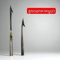 ราคา ลูกดอกยิงหนู ลูกดอกหาหนูนา ลูกดอก แข็งแรงทนทาน ลูกดอกยิงหนู (28589670970)