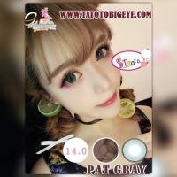 ราคา Pat Gray TATOTO Contact Lenses บิ๊กอาย #301 (7812829423)