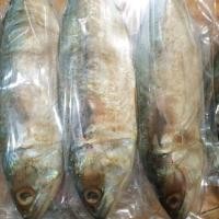 ราคา ป.ปลาทูหอมเค็ม ปลาทูเค็มไซส์กลาง (43302432328)