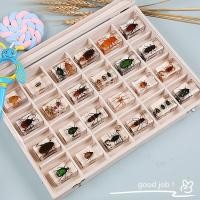 ราคา Insect Resin Real Scarab Spider Beetle Specimen wer Marine Plant Teaching Kids Christmas Gift Box R (24186177200)