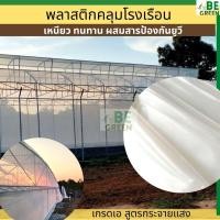 ราคา พลาสติกโรงเรือน กว้าง6-8เมตร ยกม้วน 30เมตร UV7% 150ไมครอน พลาสติกใส คลุมโรงเรือน greenhouse กันฝน กันน้ำ (28881293496)