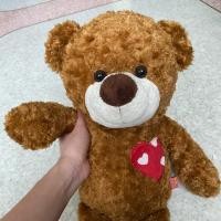 ราคา ตุ๊กตาหมี ขนาดกลาง Anee park (6336940539)