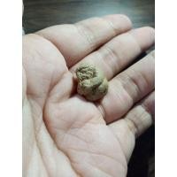 ราคา หนุมานครองโลกหลวงปู่เกลี้ยงวัดเนินสุทธาวาสรับประกันแท้ทัน (44461496767)