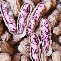 ราคา ผลิตภัณฑ์ใหม่พร้อมสต็อก ยูนนานที่มีสีสันถั่วลิสงใหม่สดถั่วลิสงแห้งข้าวดิบหลากสีพิเศษผลไม้ขนมป่าดิบมิลค์เชค20260204 (47855814076)