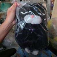 ราคา ตุ๊กตา แมวดำ Amuse หน้าบึ้ง (49704613633)