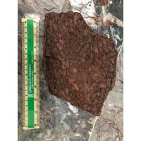 ราคา เปลือกสน #เปลือกสน #เปลือกสนปลูกกล้วยไม้ #ใช้ปลูกกล้วยไม้ (22948606628)