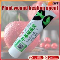 ราคา เก็บเงินปลายทาง！150g ยาทาแผลต้นไม้ป้องกันเชื้อรา ยาทาต้นไม้หลายชนิด สำหรับไม้ด่าง บุษราคัม เสน่จันทร์บอนไซ (54502808217)