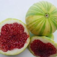 ราคา 10 เมล็ด เมล็ดมะเดื่อฝรั่ง Figs สายพันธุ์ Tiger Panache มะเดื่อฝรั่ง หรือ ลูกฟิก (10416819856)