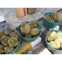 ราคา ทุเรียนหมอนพระร่วงสุโขทัย (43003203010)