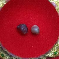 ราคา โล/หิต/ธาตุหลวงปู่คำคะนิง จุลมณี วัดถ้ำคูหาสวรรค์ (28067629612)