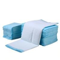 ราคา Eco Pack Pet Wee Wee Pad Dog Cat 3345cm - 100pcs / Pee Pad / Training Pad / (23368858372)