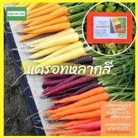 ราคา ☘️เมล็ดสายพันธุ์แท้หายาก☘️#แครอทคละสี 300 เมล็ด แท้% [ในร้านมีให้เลือกอีกเยอะมาก❗️] (10900497185)