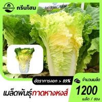 ราคา 1200 เมล็ด เมล็ดผักกาดหางหงส์ เมล็ดพันธุ์ผักกาดหางหงส์ ต้านทานโรคดี ปลูกได้หลายพื้นที่ (48200759294)