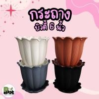 ราคา กระถางต้นไม้ รุ่นบิวตี้ 6 นิ้ว + จานรอง มีหลายสีให้เลือก สีขาว ดำ เทา อิฐ ดีไซน์ทรงดอกไม้ สำหรับปลูกต้นไม้ (47955599996)