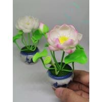 ราคา ดอกบัวหลวง "Size L" ขนาดดอกบัวกว้าง 4 ซม. ดอกบัวจิ๋ว ดอกบัวดินปั้น ดอกบัวตกแต่งหิ้งพระ หน้ารถ ดอกบัวถวายพระ (7664652899)