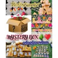 ราคา กล่องสุ่มต้นไม้ กล่องสุ่มแคคตัส กล่องสุ่ม (3265265468)