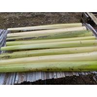 ราคา กาบกล้วย กาบกล้วยสด สำหรับงานประดิษฐ์ แกะสลัก ทำเชือกกล้วย หรือใช้ในงานตกแต่งต่างๆ (11352073181)