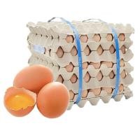 ราคา delivery เอโร่ ไข่ไก่ เบอร์2 ไม่มีฝา 30ฟอง*5ถาด (47803058897)