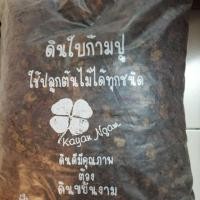 ราคา (ลดปริมาณลงครับ)ดินใบก้ามปูหมัก เหมาะสำหรับใช้ปลูกพืชไม้ใบและต้นไม้อื่นๆ (2123021377)