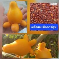 ราคา เมล็ดพันธุ์ มะเขือการ์ตูน 20 เมล็ด มะเขือมิกกี้เม้าส์ มะเขือนมสาว ไม้ประดับ (ผลทานไม่ได้) (25308481100)