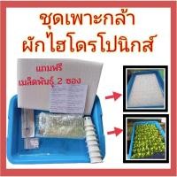 ราคา ชุดเพาะกล้าผักไฮโดรโปนิกส์ ผักสลัด ไฮโดรโปนิกส์ อุปกรณ์ปลูก ผักไฮโดรโปนิกส์ เพาะต้นกล้าผัก เพาะเมล็ด สลัดไฮโดร ผักไร้ดิน (13442537045)