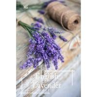 ราคา เมล็ดลาเวนเดอร์แท้ - 100 เมล็ด *เหมาะสำหรับกระถาง* มีกลิ่นลาเวนเดอร์* กระถางต้นไม้ เมล็ดดอกลาเวนเดอร์สำหรับใช้ในบ้าน (51353416290)