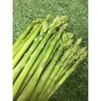 ราคา ใหม่ สด!!! หน่อไม้ฝรั่งสด - หน่อไม้ฟรั่ง ผักผลไม้ (41578214049)