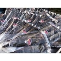 ราคา พร้อมส่ง ปลาดุกร้า การันตีความอร่อย เนื้อปลานุ่ม ไม่เหม็น รสกลมกล่อม❌ไม่ใส่ผงชูรส❌ (9394195214)