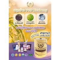 ราคา จมูกข้าว วีวีไอพี จมูกข้าวกล้องงอกไรซ์เบอร์รี่6กระป๋อง (20827318024)