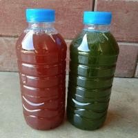 ราคา จุลินทรีย์สังเคราะห์แสง (9767663499)