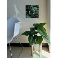 ราคา ต้นไม้ปลอมต้นนางกวัก 12 ใบ (สูง 60 เซน) (4387079920)