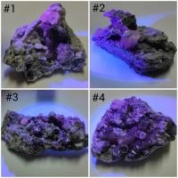 ราคา ผลึกหินแพนด้าแคลไซต์ UV ตัวหินทำปฏิกิริยากับแสงยูวี (24626880279)