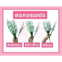 ราคา ดอกไม้ ดอกแซมช่อ #ดอกแซม #จัดช่อดอกไม้ (มัดละ12ก้าน) (14849515934)