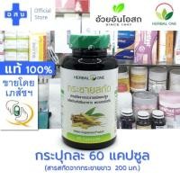 ราคา [ขวดละ 60 แคปซูล] กระชายขาว สกัด 200 มก บรรจุเม็ด ตรา เฮอร์บัลวัน ---- อ้วยอัน กะชาย สมุนไพร herbal one OuayUn osot ดี (18146635575)