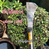ราคา มีดโต้กลาง มีดโต้ข้าวหลาม มีดโต้เฉาะข้าวหลาม มีดอรัญญิก จ้อย อรัญญิกแท้ (8847701432)
